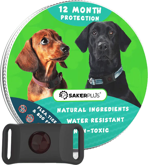 12-Month Flea & Tick Repellent Pendant for Dogs | All-Natural, Waterproof, Chemical-Free